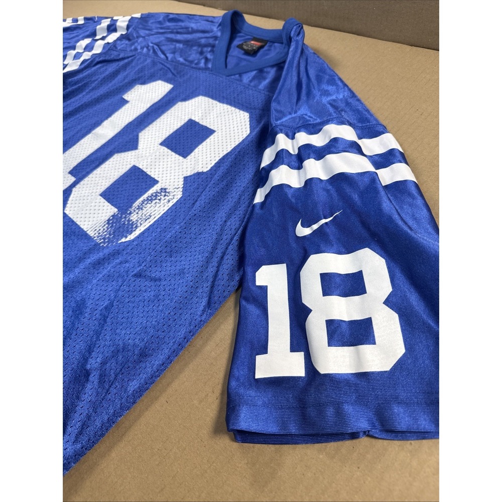 Nike, PEYTON MANNING INDIANAPOLIS COLTS JERSEY Large - Picture 8 of 9
